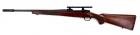 Ruger M77 HAWKEYE