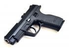 CZ- 100