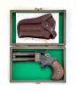 Great Gun derringer
