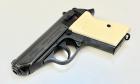 Walther PPK ( BWB )