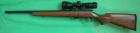 CZ-453 Varmint