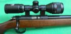 CZ-453 Varmint