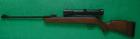 Gamo Hunter