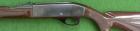 Remington Nylon 66.22L