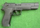 Sig Mosquito .22LR Sport