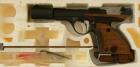 Unique DES 69.22LR