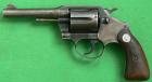 Colt Police Positive