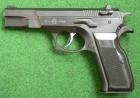 Norinco NZ 75