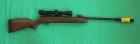Gamo Hunter