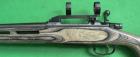 CZ-550 Varmint Laminated