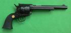 Chiappa 1873-.17HMR