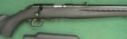 Ruger American Rimfire.22LR