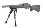 Ruger 10/22 VLEH .22 LR