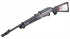 Ruger 10/22 TDT