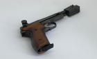 Margolin  .22LR