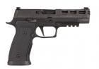 SIG Sauer P 320 AXG PRO