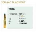 Sellier&Bellot .300AAC TXGR